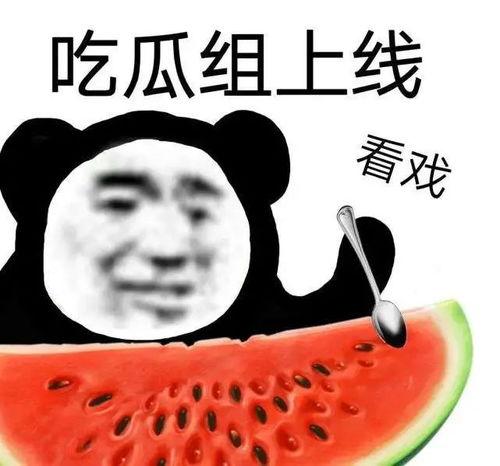 会玩吃瓜,揭秘娱乐圈幕后故事