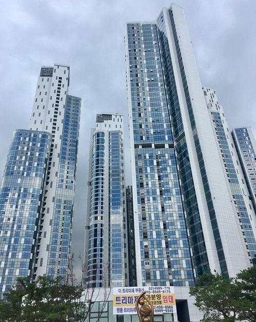 汉阳首尔吃瓜,一场别开生面的吃瓜盛宴