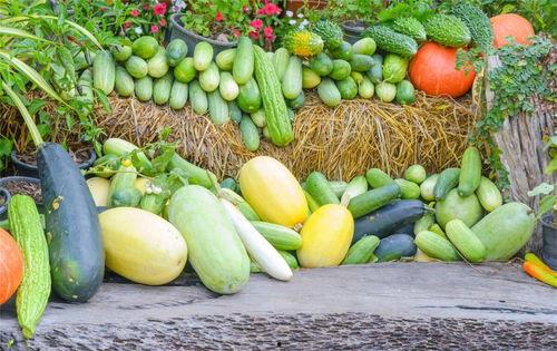 没钱别吃瓜,理性消费，远离无谓的纷争