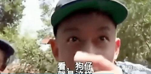 为吃瓜而狂,揭秘“为吃瓜而狂”的疯狂世界