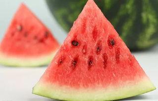 西瓜吃瓜墙,揭秘网络热议背后的真相与趣味