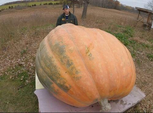 全程都在吃瓜,揭秘娱乐圈幕后真相