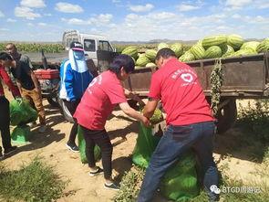 包头吃瓜事件视频