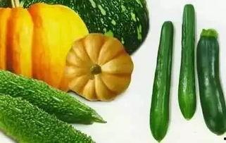 天净沙吃瓜,夏日吃瓜指南，清凉一夏尽在此