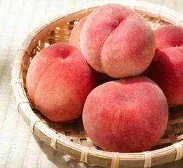 桃桃吃瓜,揭秘娱乐圈那些不为人知的幕后故事